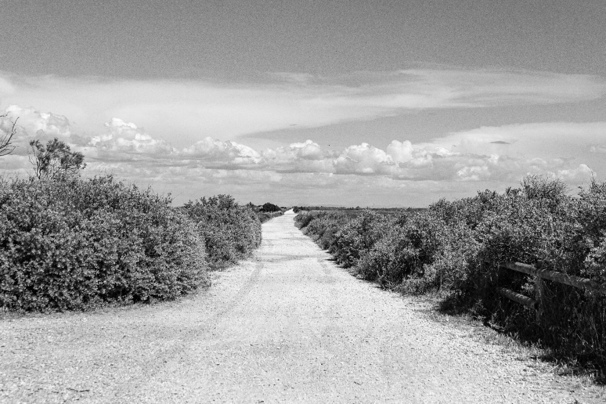 La via di terra — Parc naturel régional de Camargue, Francia