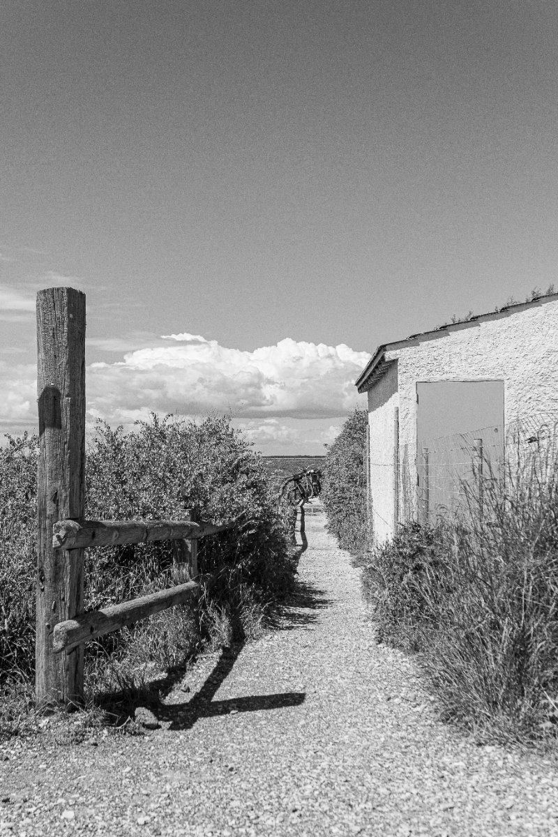 La sosta sul sentiero — Camargue, Francia