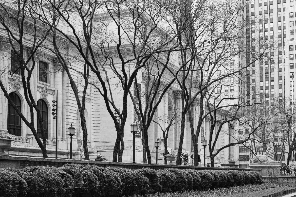 Schermo d'inverno — New York Public Library, New York