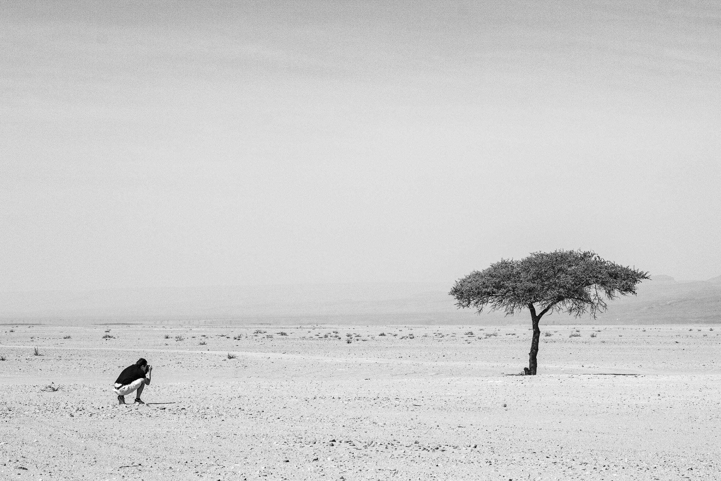 Posición del fotógrafo