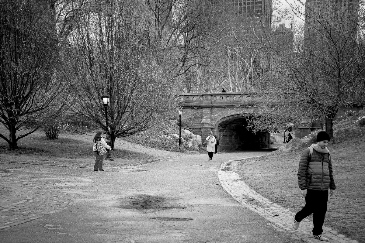 Figure e traiettorie — Central Park, New York