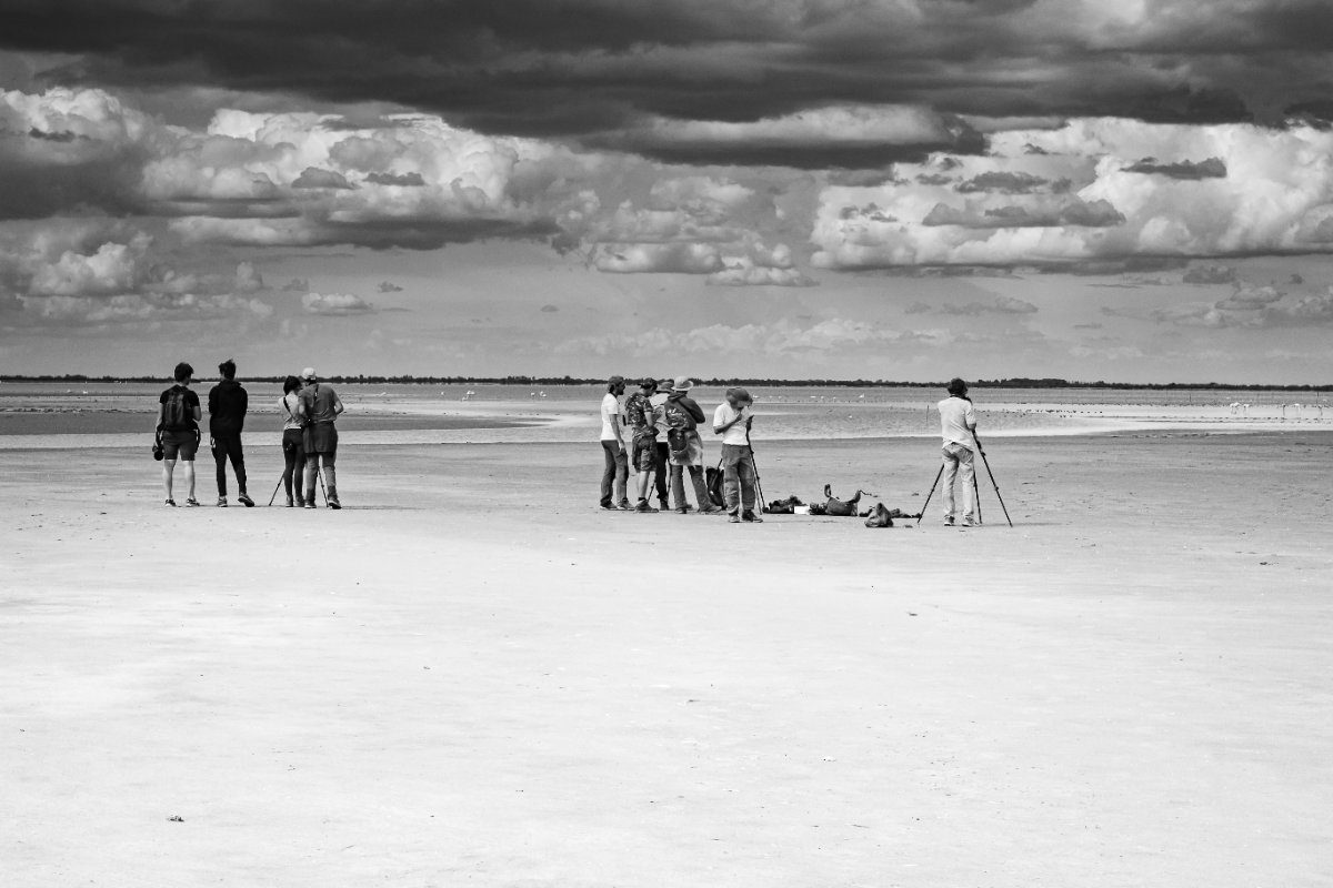 Osservatori sulla piana — Camargue, Francia