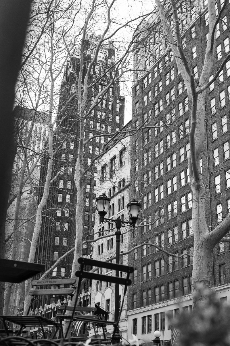 Alberi tra le facciate — Bryant Park, New York
